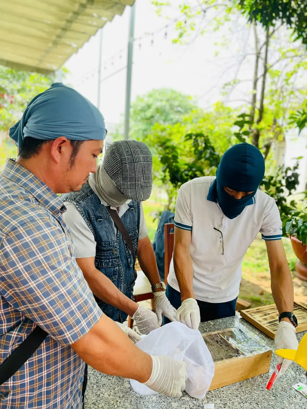 Học viên thực hành nuôi ong dú tại Trại Ong Quý, Trảng Bàng